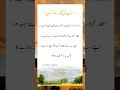 Rasul Allah ﷺ na Family #quotes #shorts #islam #islamic