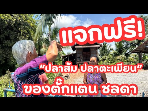 แจกฟรี!!! ทั่วหนองนกกระเรียน !!