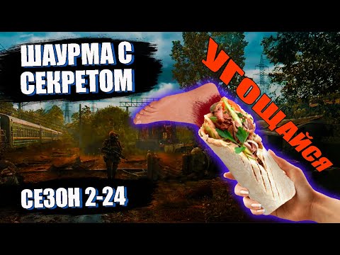 Видео: DayZ. История выжившего. Сезон 2-24. Шаурма с секретом