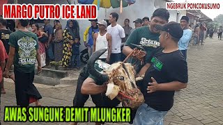WARGO PUTRO ICELAND TERBARU | DEMIT MBEROT AWAS SUNGUNE | Bantengan Live Ngebruk Poncokusumo