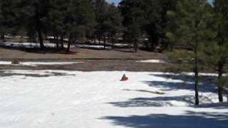 Sledding 1.AVI