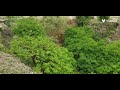 اجواء خياليه شرعب السلام نخله