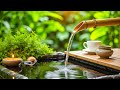 Soothing Piano To Calm Your Mind Serenity And Inner Peace Soothing Piano To Calm Your Mind Serenity And Inner Peace