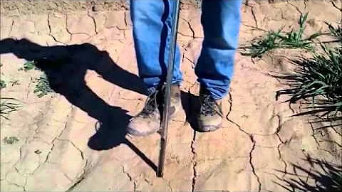 Soil Sampling Procedures for Field Crops