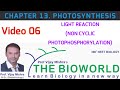 V 06 II  NON CYCLIC PHOTOPHOSPHORYLATION  II NCERT I NEET II CHAPTER 13 II PHOTOSYNTHESIS II