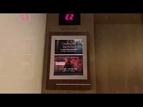 Mega Wild Fruits | Atlantis Casino Floor Walk Part 1