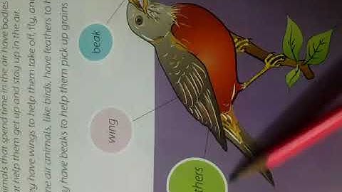 CLASS 1 - Science - Lecture # 3 part 3