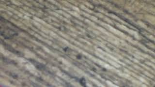 Charlie Wonder  Game Show  Beats From The Vault 2004  2014