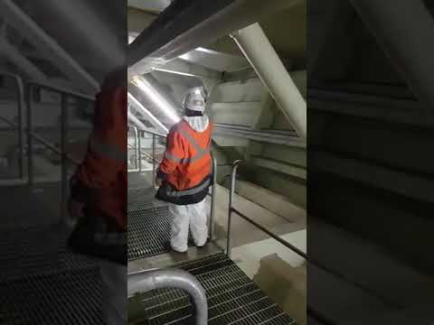 Frankie the Painter Inside the Queensferry Crossing ,Lest we Forget .mp4
