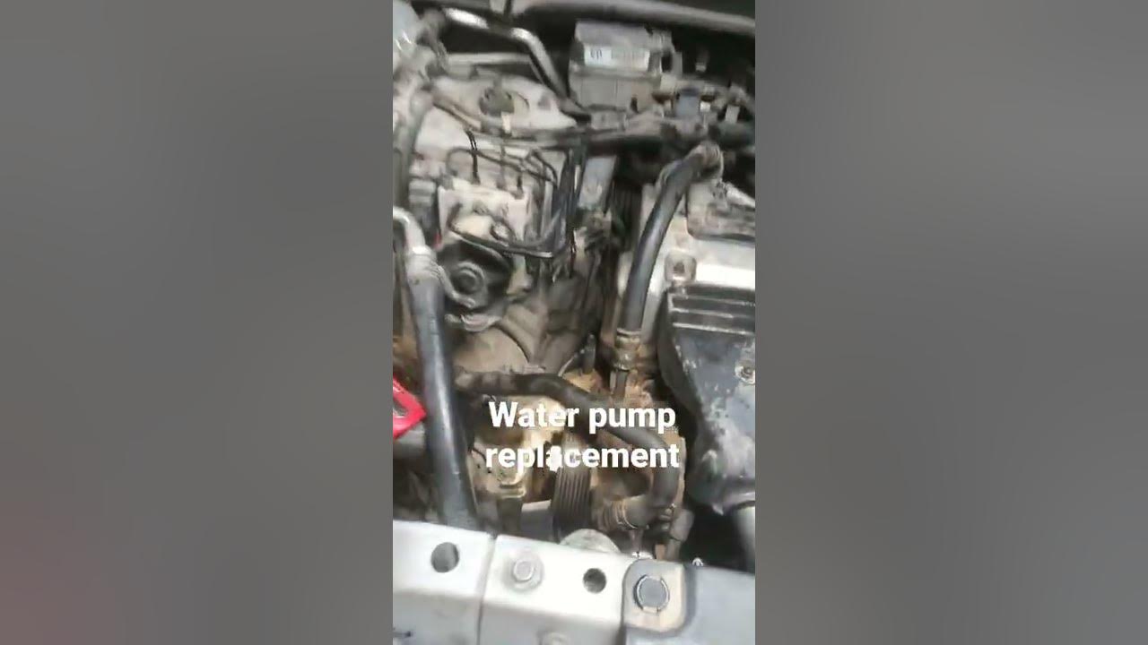 2004 Honda Element water pump replacement #Honda #element #waterpump