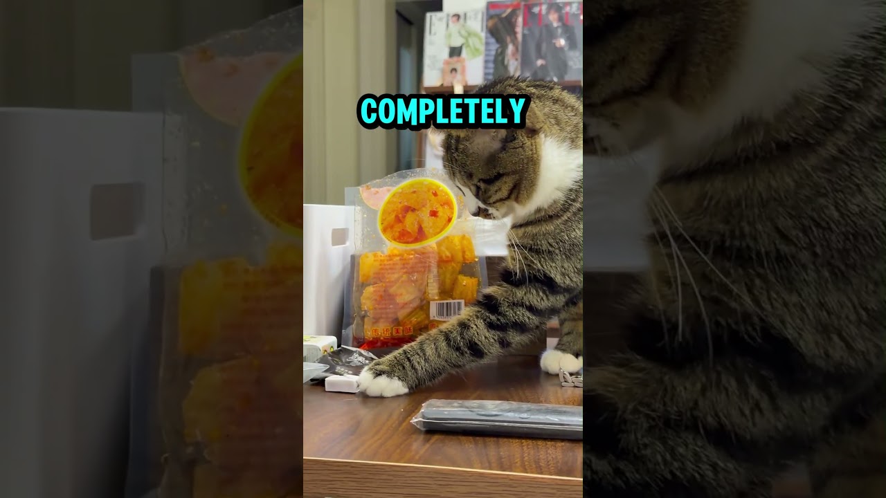 НЕ ПРОВЕРЯЙТЕ ЗВУК