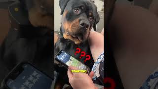He thought his pup was having a normal day… ⚠️‼️ #tiktokgame