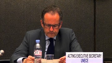 Michael Møller, Acting Executive Secretary, UNECE