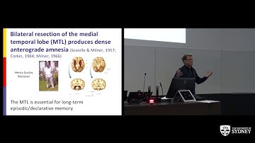 The Promiscuous Hippocampus - Professor Andrew Yonelinas