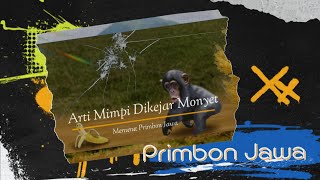 Arti Mimpi Dikejar Monyet Menurut Primbon Jawa🐒