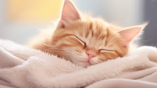 EXTREMELY Soothing Cat Therapy Music  Relax Your Cat! Cat Music