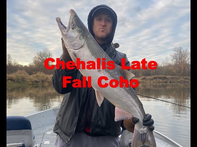 Chehalis Late Fall Coho! Spinners, Jigs and some tips on trip planning for  Salmon and Steelhead 