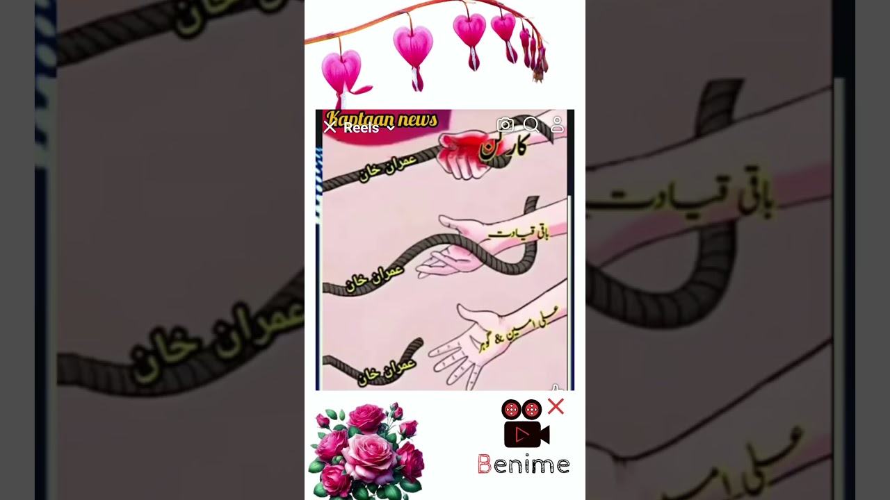 Imran Khan | Ali Amin Ghandapur 