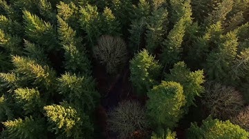 Children of Atom Official Music Video