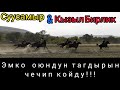 Кокбору 2020/ Жер улак/ Суусамыр & Кызыл Бирлик.