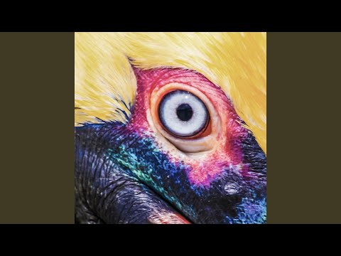 Glimpse Of Us - Capstan
