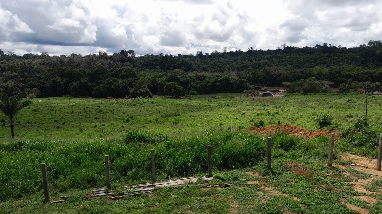 Fazenda de 260 Alqueires com 100 de abertura - Altamira / Pará