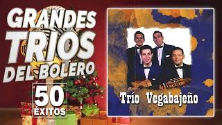 Trio Vegabajeño Exitos - Sus 50 Grandes Exitos Inmortales - Viejitas Pero Bonitas - Boleros De Oro