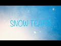 KinKi Kids SNOW TEARS 歌ってみた