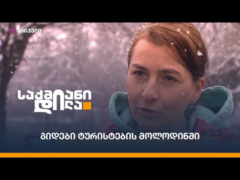 ტურისტული ბრენდი #საქართველო დუმს - გიდები ტურისტების მოლოდინში.