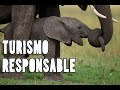 Turismo Responsable con Animales