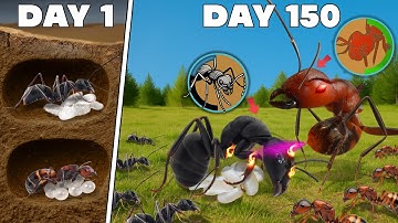 Simulating two Ant colonies for 150 Days 😱 ANTTREK
