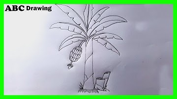Banana Tree Drawing | Drawing For Beginners | Easy And Beautiful Kids Drawing