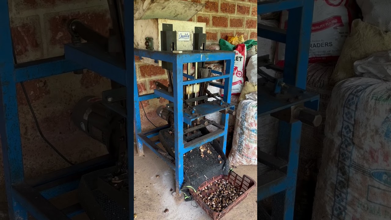Cashew Cutter Machine🎰