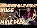 Hunting huge mule deer  anyone can heres how