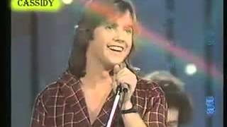 Video thumbnail of "SHAUN CASSIDY  fallin into you"