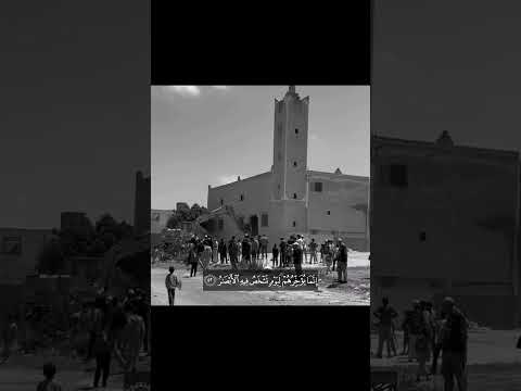 و ل ا ت ح س ب ن ٱلل ه غ  ف ل ا ع م ا ی ع م ل ٱلظ  ل م ون