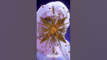 Frozen | Show Yourself | Multi language #frozen #disneysong #frozenworld #edit