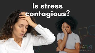 How stress changes the brain and why it’s contagious by The CRAM Podcast ~ Extraordinary Ideas Unleashed 71 views 5 months ago 47 minutes