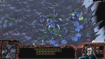 ZvP Roach Queen SH Style - PiG