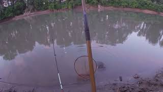 Река Кубань, рыбалка под пенье птиц