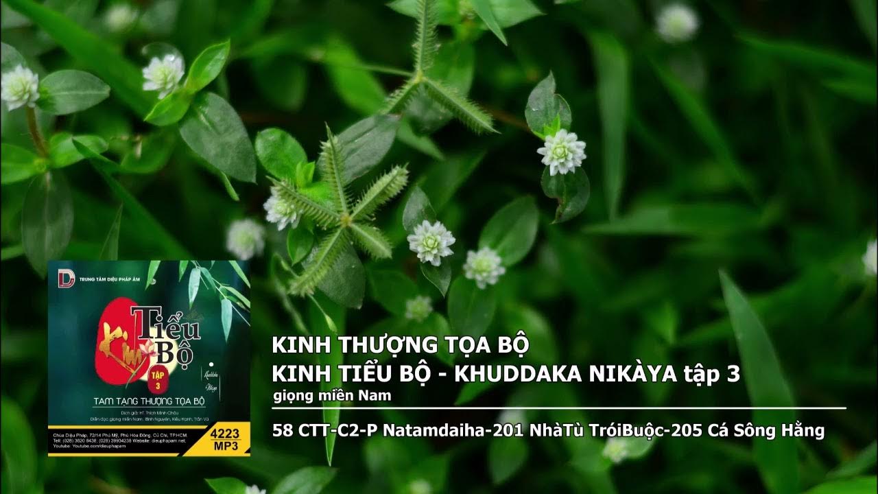 Tập 3 – 58 CTT–C2–P Natamdaiha–201 NhàTù TróiBuộc–205 Cá Sông Hằng giọng miền Nam 