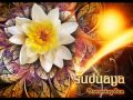 Suduaya - Sunce