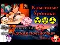 Крысы | Крыс спасение, или адская поездочка. (Я в шоке)