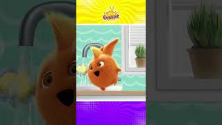 Learn To Wash Your Hands With Sunny Bunnies