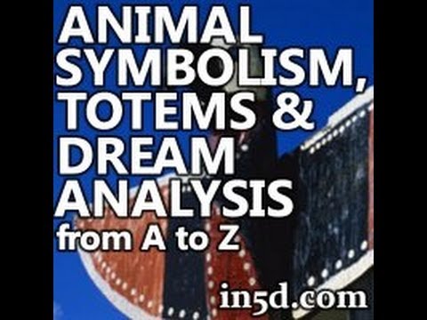 Animal Symbolism, Totems and Dream Analysis | in5d.com