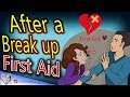 The Do's And Don'ts immediately After a break up | animated