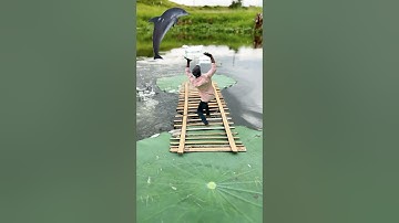 Crazy lotus 🪷🥰 Videography ideas 💡👀 #creative #shorts #videography #sort