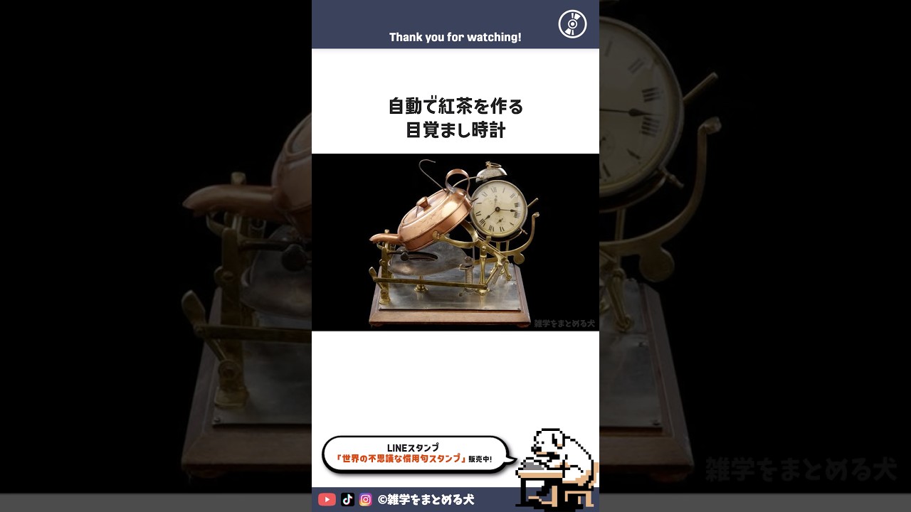 紅茶を作る目覚まし時計 #雑学 #まとめる犬