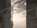 American selective, empathy, and sympathy #trending #tiktok #america #world #musicfestival