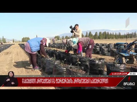 დაგეგმილი პროექტები და ფერმერების პრობლემები სამეგრელოში